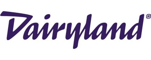 6 Travelers Insurance